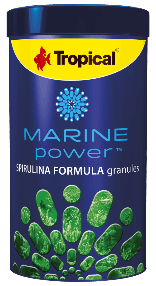 טרופיקל מזון גרגרים ספירולינה 250 מ”ל Tropical Spirulina Formula Gran