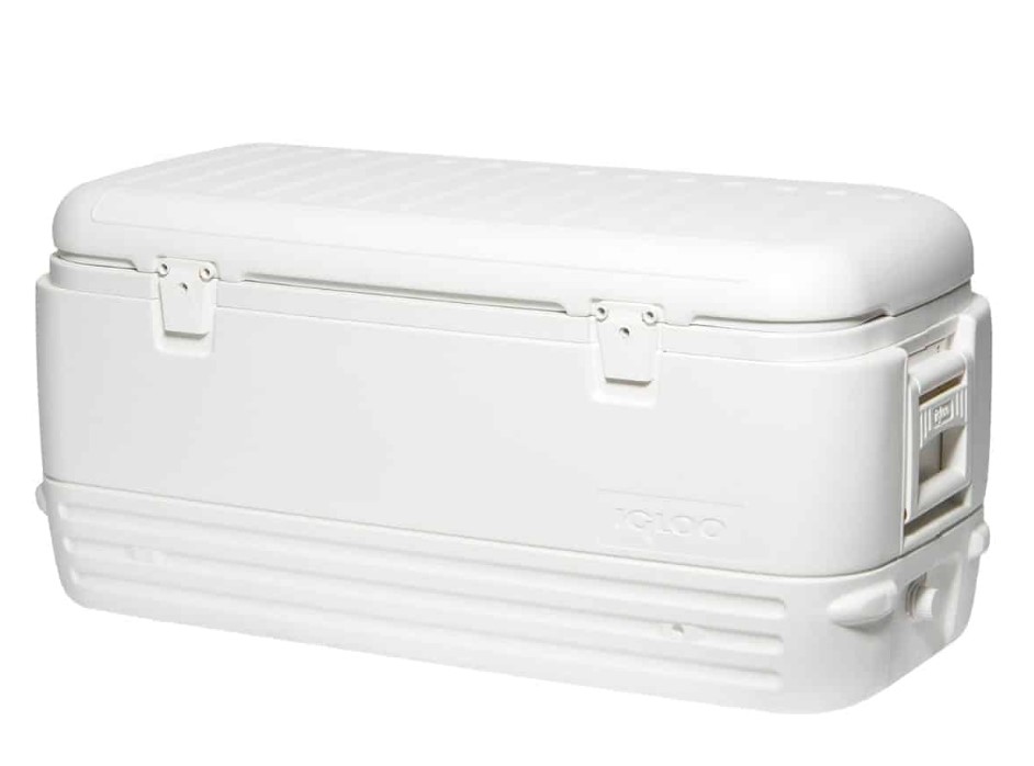 צידנית Polar קשיחה בנפח של 113 ליטר בצבע לבן מבית IGLOO