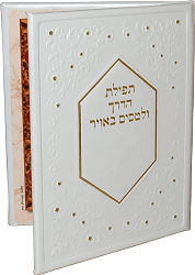 תפילת הדרך ותפילת הדרך לטסים באוויר