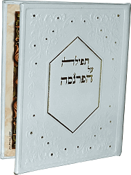 תפילה על הפרנסה