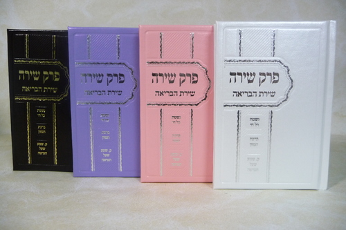 פרק שירה 