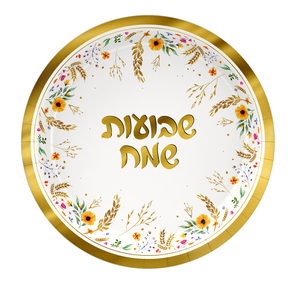 צלחות נייר בינוניות דגם