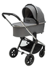 עגלת סיאלו 2023 Celio PL ספורט ליין Sportline - אפור