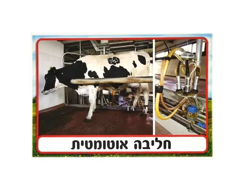 ערכת תמונות - חלב