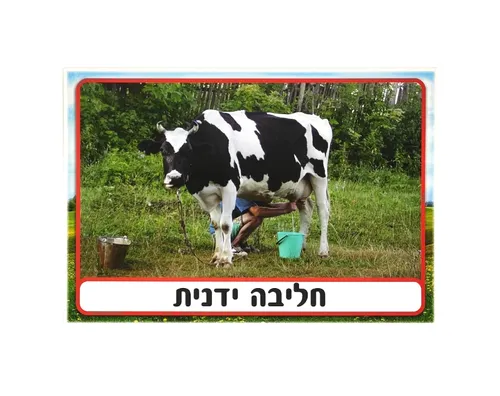 ערכת תמונות - חלב