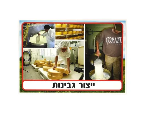 ערכת תמונות - חלב