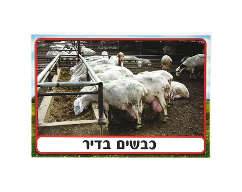 ערכת תמונות - חלב