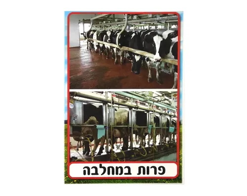 ערכת תמונות - חלב