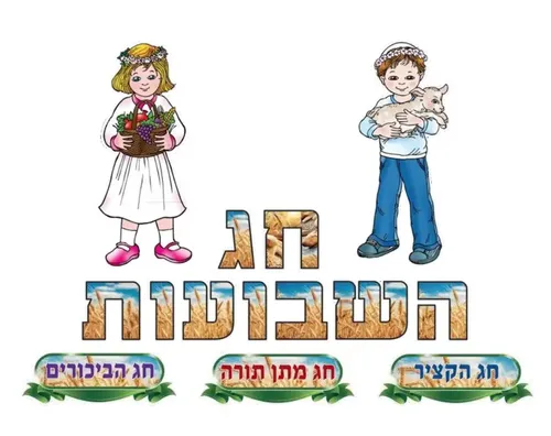 ערכת המחשה - 