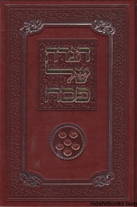 הגדה לפסח מפוארת