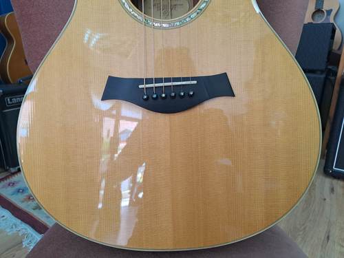 Taylor GC8 2011
