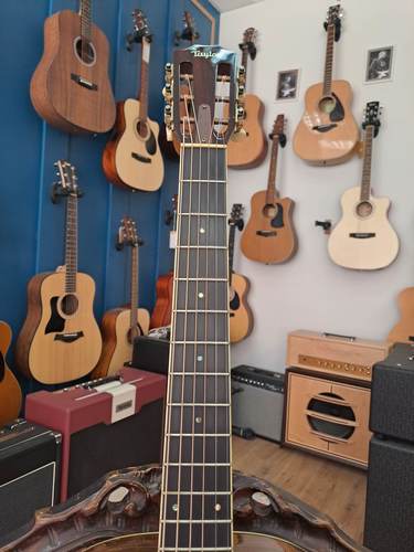 Taylor GC8 2011