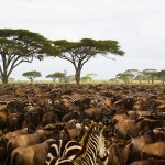 צילום טבע – הצלם אייל ברטוב מתארח בארליך