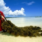 מיומנו של צלם גיאוגרפי – הזמנה להרצאה עם הצלם משה שי