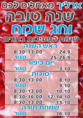 שעות פעילות החנות במהלך החגים 2015