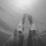 צלמת השבוע אליענה גולומב / ראיון מאת אלה אוזן