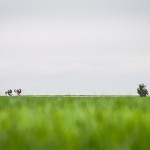 צלם השבוע – בני דויטש