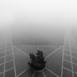 צלם השבוע – ליאור גליכמן