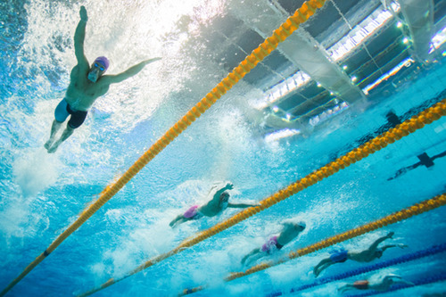 צלם השבוע גלעד קוולרצ'יק