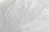 05fcc409441fec1046cbd36ca6873e8a
