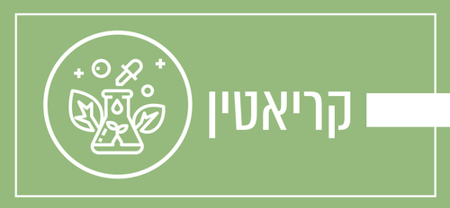 קריאטין