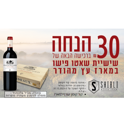 ששית שאטו פישו- קוט דה בורג במארז עץ 