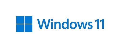 Win 11 Pro 64Bit Hebrew OEM מערכת הפעלה  