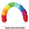 קשת פרחים צבעונית גדולה 180 ס"מ