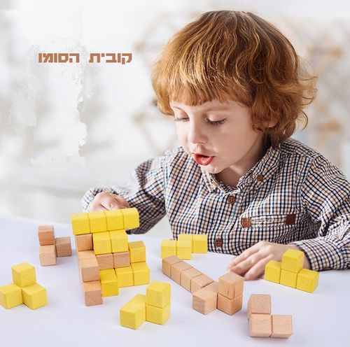קוביית סומו Y1007