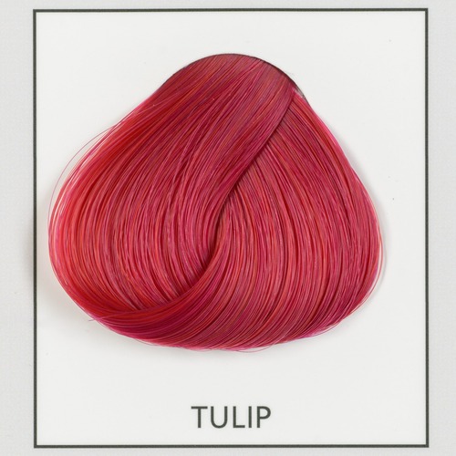Tulip