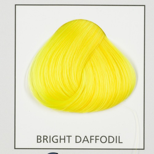 Bright Daffodil