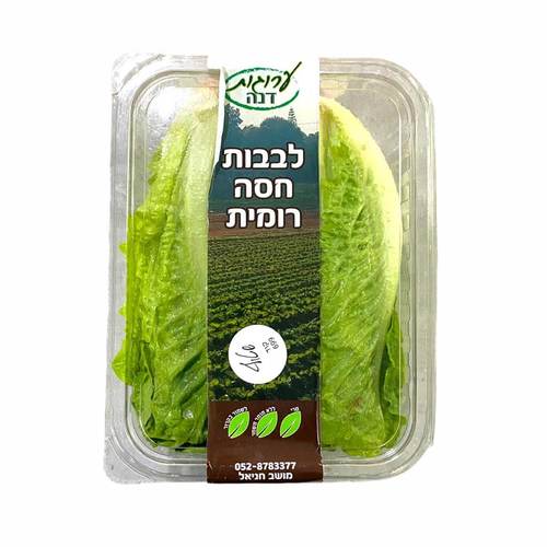 לבבות חסה שטוף מארז
