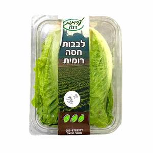 לבבות חסה שטוף מארז