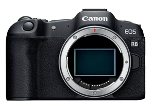 Canon EOS R8 BODY - יבואן רשמי