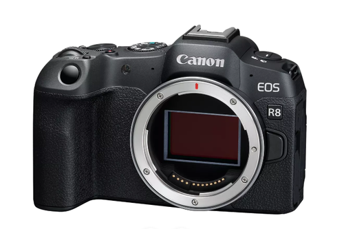 Canon EOS R8 BODY - יבואן רשמי