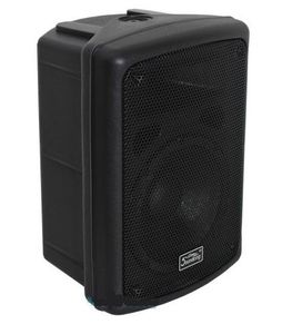 רמקול מוגבר 8" SK FP208A