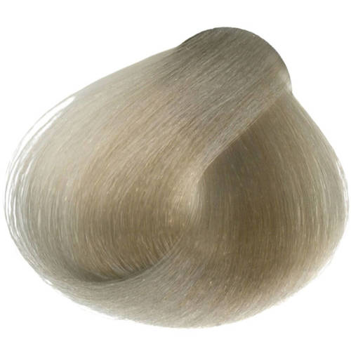 גוון 10.1 LIGHTEST ASH BLONDE רייוול Raywell