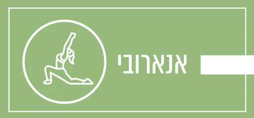 אנאירובי