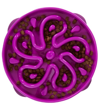 Fun Feeder Slo Bowl large/regular - קערת האכלה איטית לכלבים