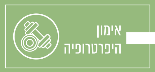 מהו אימון היפרטרופיה?