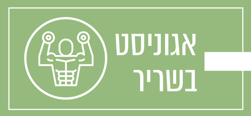 מהו מצב של אגוניסט בשריר?