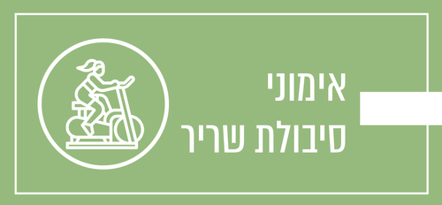 מהם אימוני סיבולת שריר?