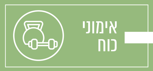 מהם אימוני כוח?