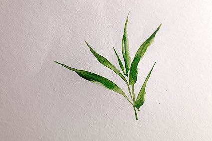 בלוק ספירלה של נייר במבוק לצבעי מים, 15X15 ס