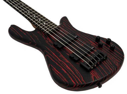 זוית נוספת Spector NS Pulse 5 Bass Guitar