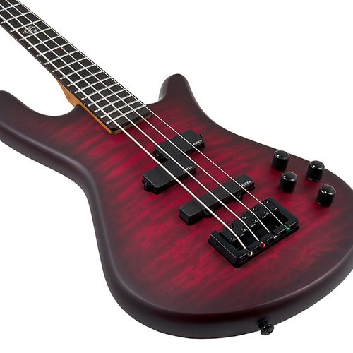 זוית נוספת Spector NS PULSE II 4 Bass Guitar
