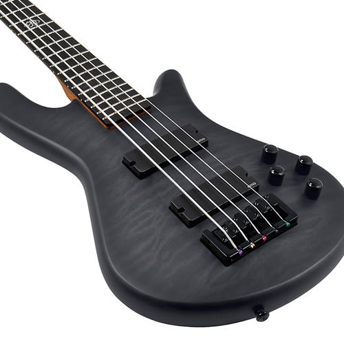 זוית נוספת Spector NS PULSE II 5 Bass Guitar