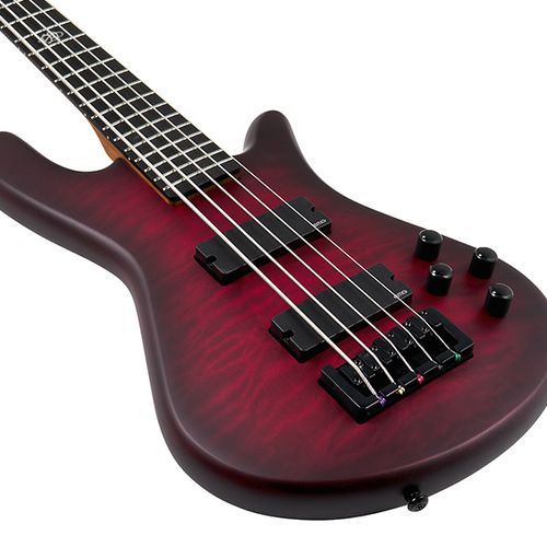 זוית נוספת Spector NS PULSE II 5 Bass Guitar