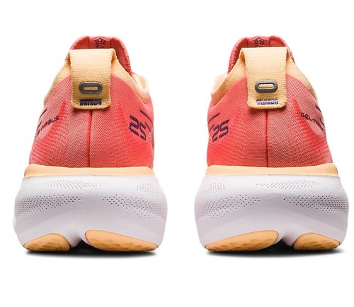 נעלי אסיקס Asics Gel Nimbus 25 | נשים