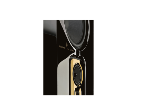 STEINWAY & SONS MODEL D